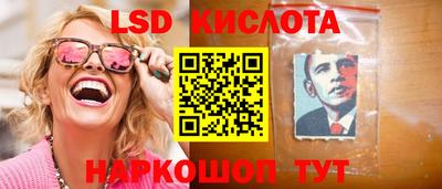 стаф Краснодар