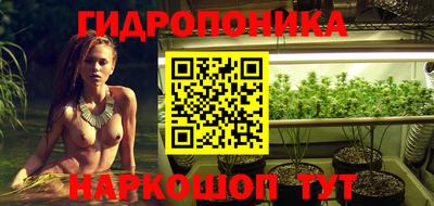 стаф Краснодар