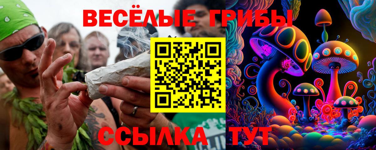 Троицк  Псилоцибиновые грибы Psilocybe  Вход с VPN  Галлюциногенные грибы Psilocybe 